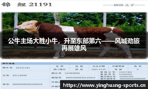 公牛主场大胜小牛，升至东部第六——风城劲旅再展雄风